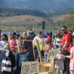 Pikin festival je obiskala množica Pikinih prijateljev (Foto: Ksenija Mikor)